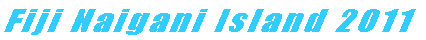 Fiji Naigani Island 2011 