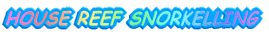 HOUSE REEF SNORKELLING