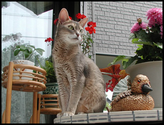 ���������