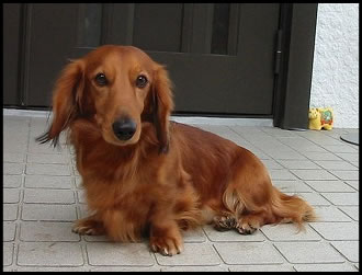 �`���R����