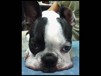 ���񂱂����