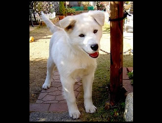 �S������