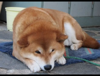 �A�g������