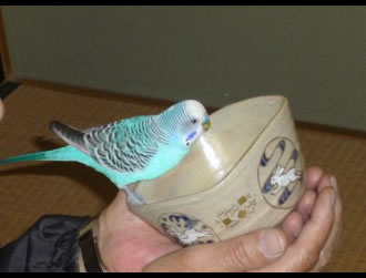 �`���R����