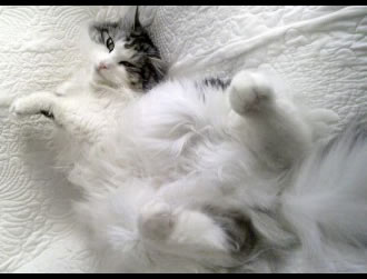 �`���R�����