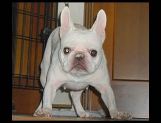 �N�E�����