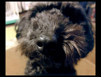 �o������