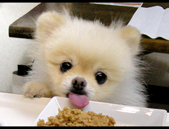 �A���R�����