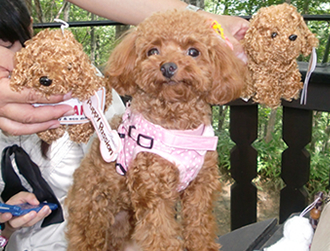 �|�v�������