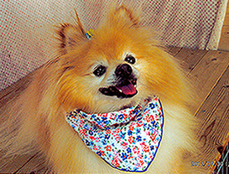 �}���������