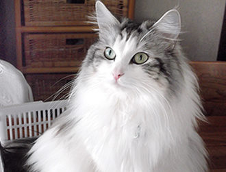 �`���R�����