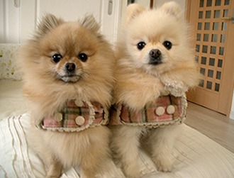 �A���R�����@�R���������