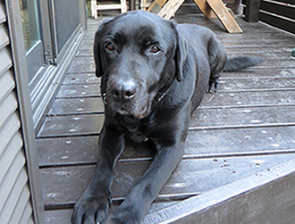 �N�E�����