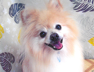 �}���������