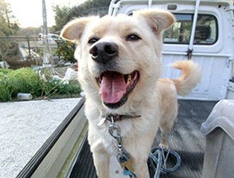 �����낿���