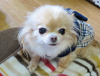 �i�i�~�����