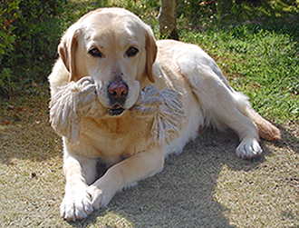 �����[�����