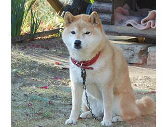 �i�i�����