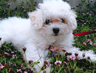 �i�i�~�����