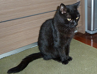 �����[�����