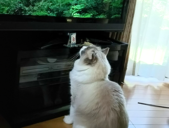 ����邿���