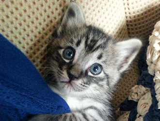 �R���������