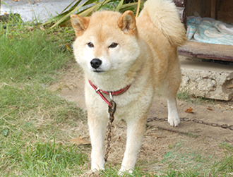 �i�i�����