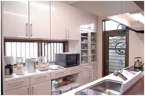 �g���₷���T�C�Y�̃L�b�`��