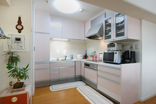 �V�X�e���L�b�`��