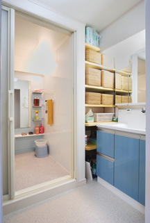 �o���A�t���[�^�C�v�̃o�X���[��