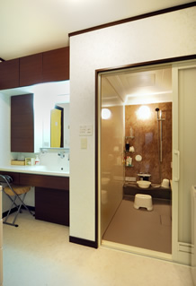 ���ʏ��Ɨ���