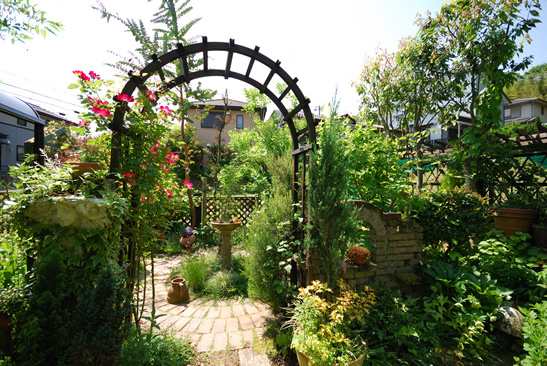 �_�C�j���O