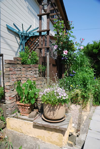 �_�C�j���O