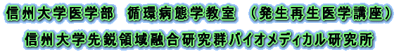 信州大学大学院医学研究科 臓器発生制御医学講座 発生再生医学分野　新藤研究室 
