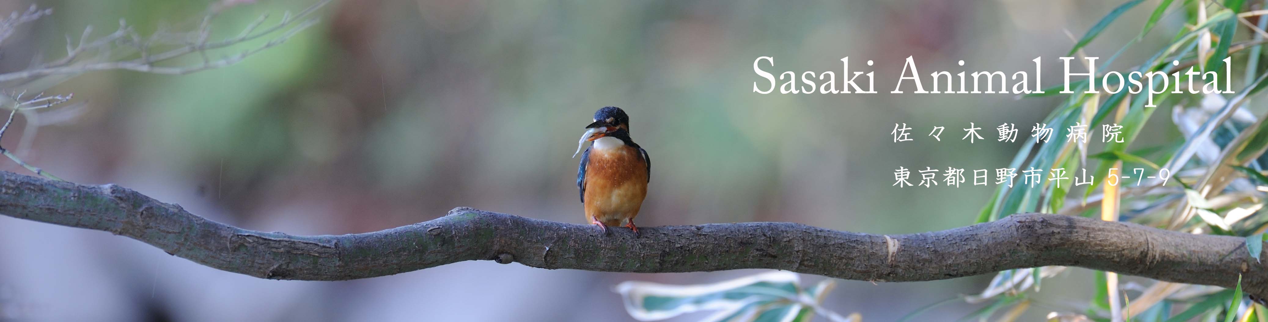 �u�s�̒��v�J���Z�~