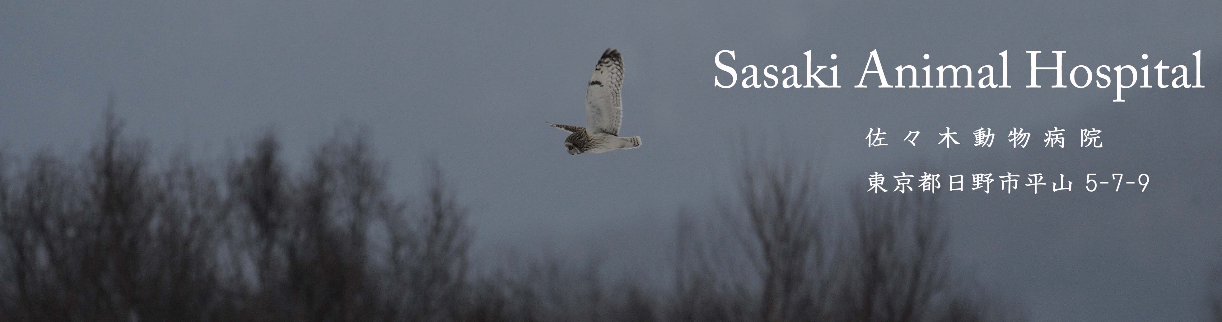 �R�~�~�Y�N