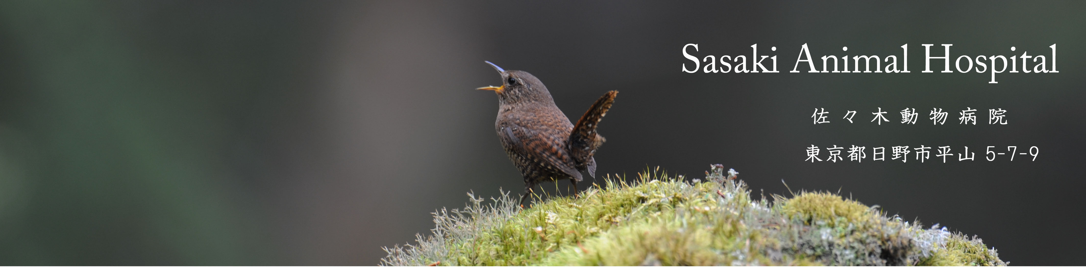 �~�\�T�U�C