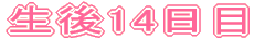 P`S 