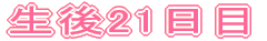 P`S 