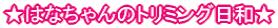 ͂Ȃ̃g~Oa