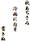 秋あぢさゐ

　冷雨に白を

　　 　　貫きぬ