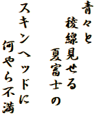 青々と
　稜線見せる
　　  夏富士の

スキンヘッドに
　　　何やら不満