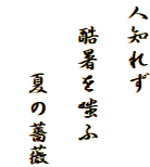 人知れず

　酷暑を嗤ふ

　　　夏の薔薇
