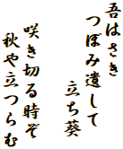 吾はさき
 つぼみ遺して
　　　　立ち葵

  咲き切る時ぞ
　 秋や立つらむ