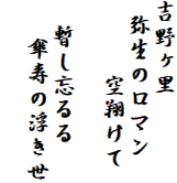 吉野ヶ里
 弥生のロマン
　　　空翔けて

　暫し忘るる
　 傘寿の浮き世
