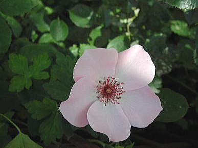 2002816d01.jpg