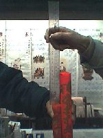 �E���V�i�A�����ڂ���