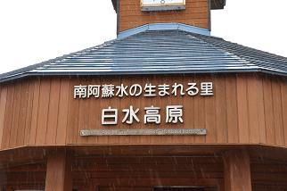 {꒷wfw