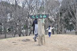 ɂ邭R삯očsB