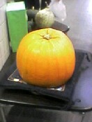 ̎ɉ̂ǁ`ƒuĂ̂ŎB܂Bɂ͎̊oł̂ڂ͉LĂĂ݂悤IIƏĂĐyƓyĂ܂Bzgɏdł(^^U